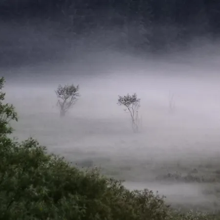 Holzhaeusl Am Nationalpark Casa de Férias *