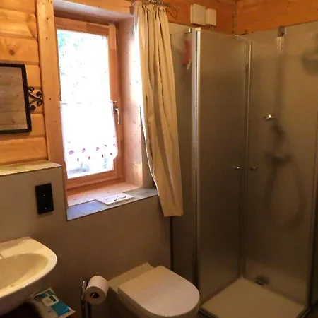 Holiday home Holzhaeusl Am Nationalpark Sankt Oswald-Riedlhuette